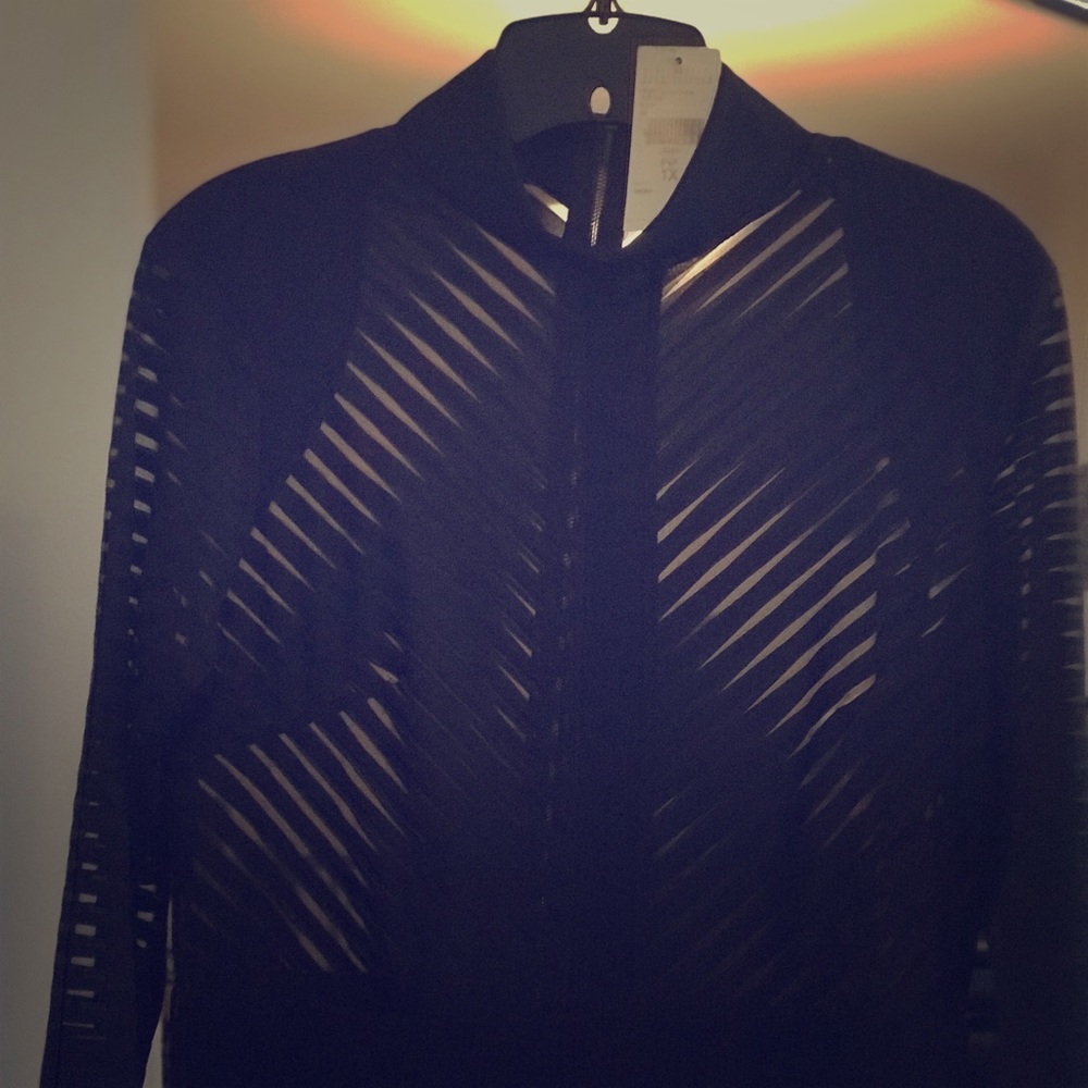 Sheer little black dress